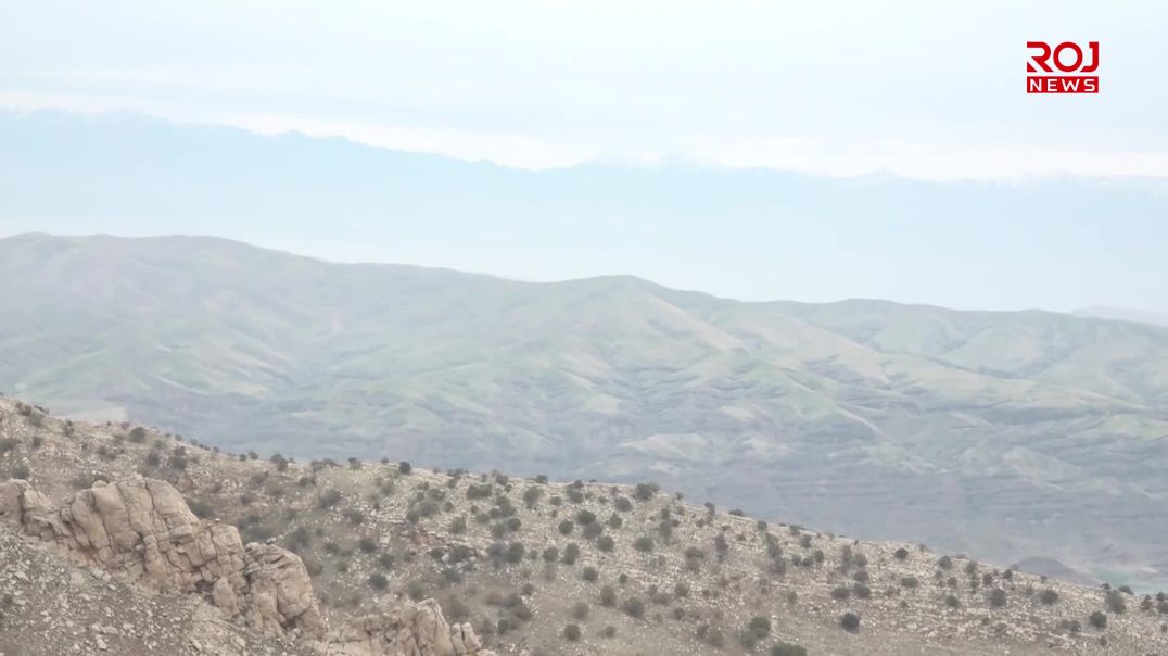 ژنان: چیاکانی کوردستان هەمیشە پاڵپشتی کورد بوون