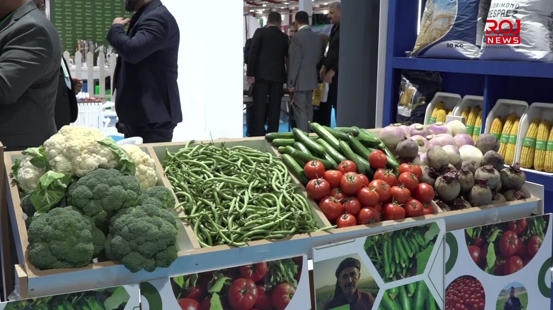 17-12-2025-slm-peshangay-kshtwkall