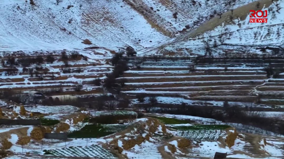 Ji Çiyayê Şengalê dîmenên bedewiya berfê