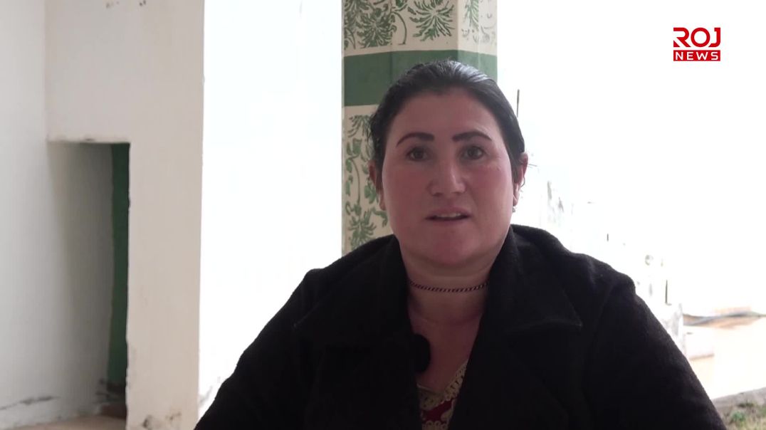 Endamên Meclîsa Borikê: Gelên bindest azadiya Rêber Apo dixwazin