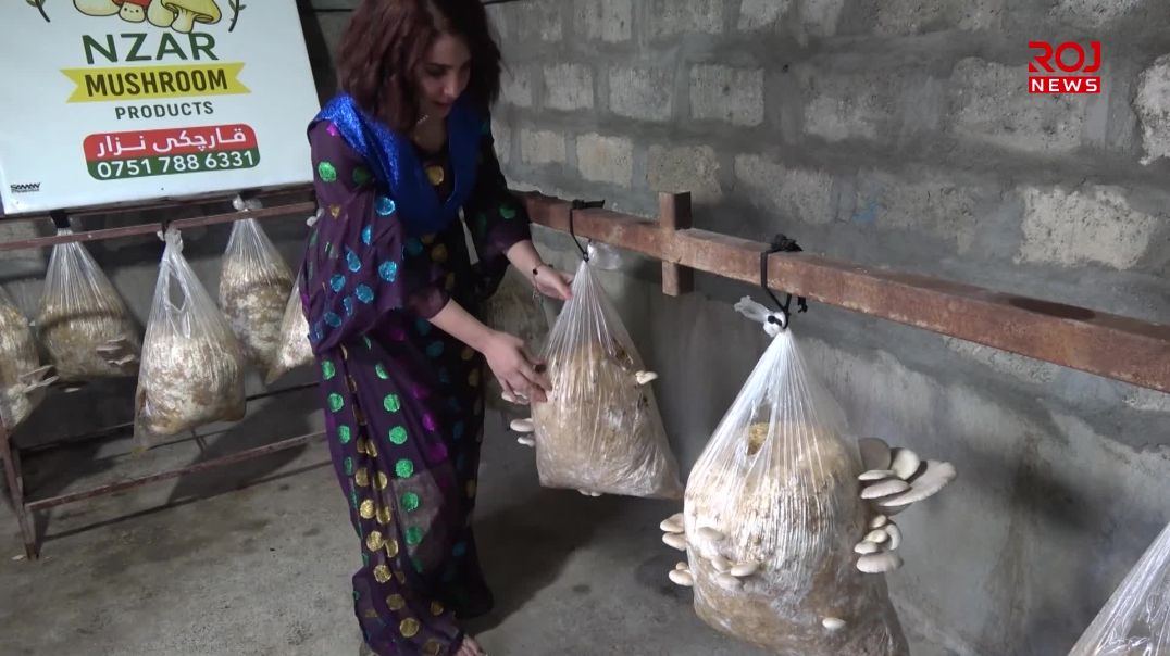 ژنێک پێنج ساڵە بە دامەزراندنی پڕۆژەیەکی ئابووری بژێوی ژیانی پەیدا دەکات