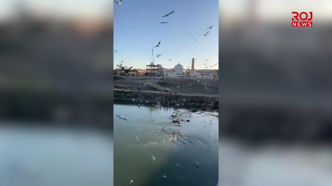 نەورەسەکانی دیجلە دیمەنێکی جوانیان بە موسڵ بەخشیوە