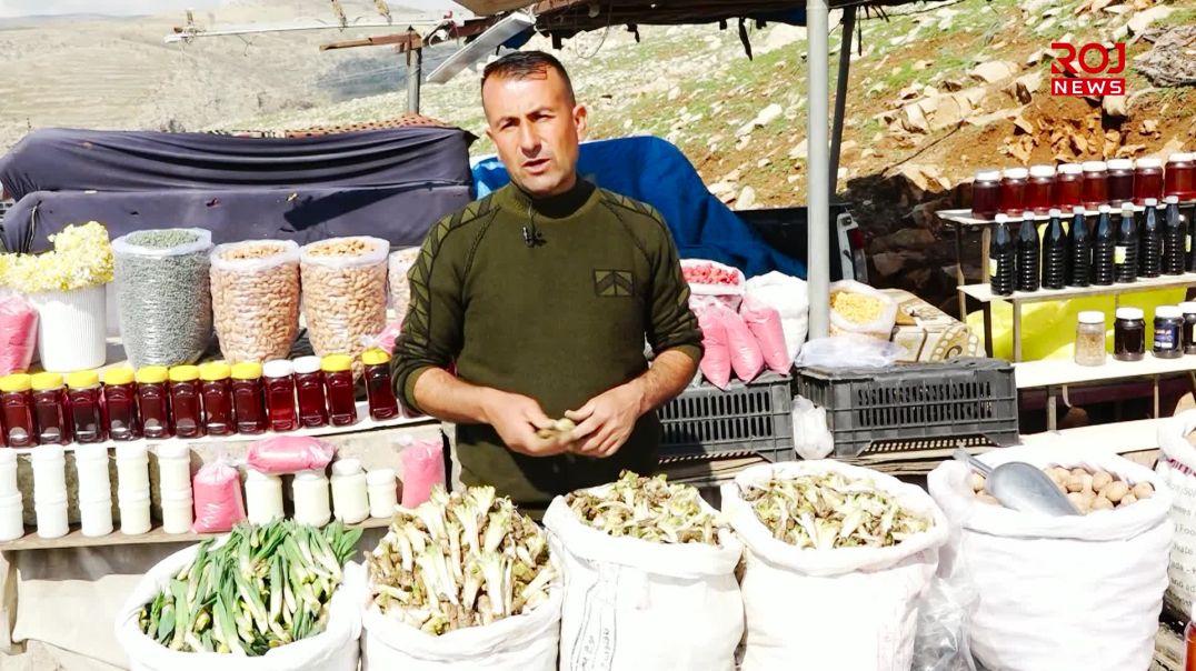 سپیلک ناوەندی کۆکردنەوەی گیا بەهارییەکانە