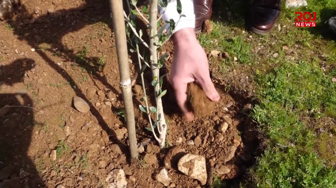 لە هەڵەبجە هه‌ڵمه‌تى نه‌مام چاندن له ‌ناوه‌نده‌كانى خوێندن به‌ڕێوه‌چوو