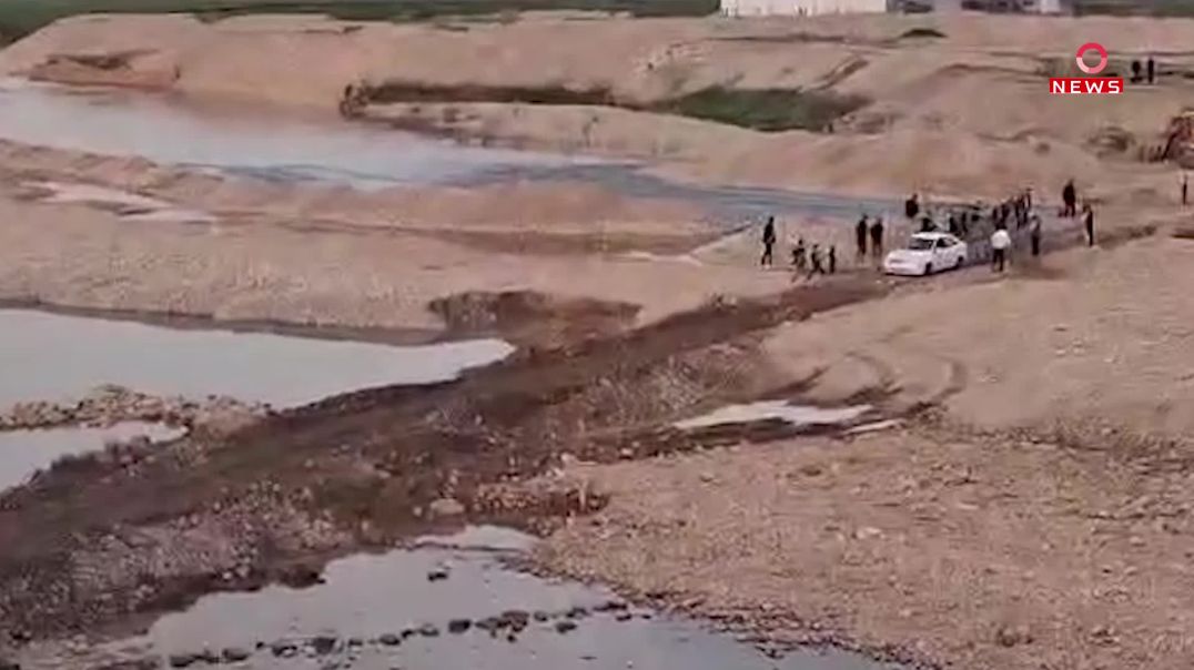 14-3-2026-gundi-grigay