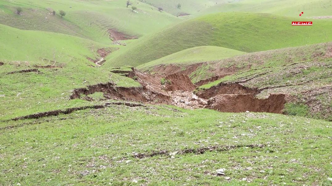 دیاردەی ڕۆچوون زیادی کردووە و پسپۆڕێکیش هۆشداری دەدات