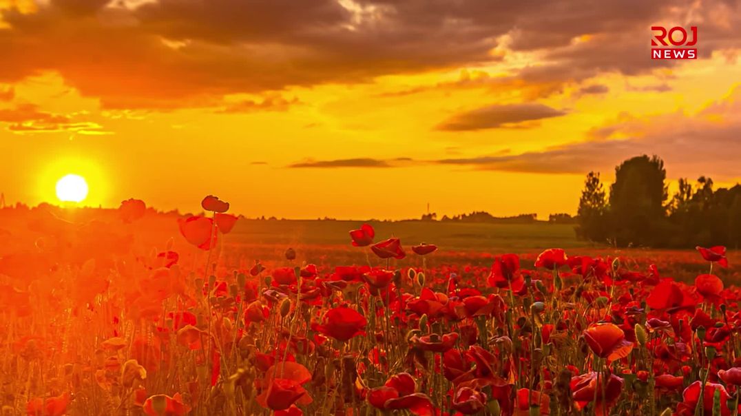 8-4-2026-spot-çarşema serê nîsanê