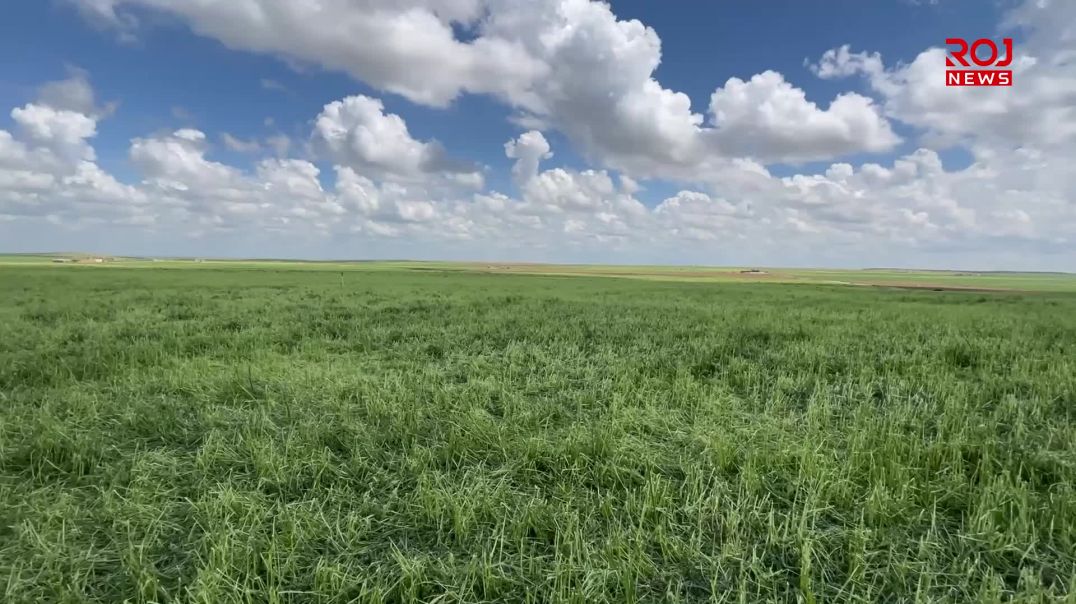 21-4-2026-shngal-diman