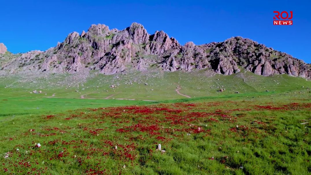 10-5-2026-xewzaiya-quntar-ciyaye-sengale