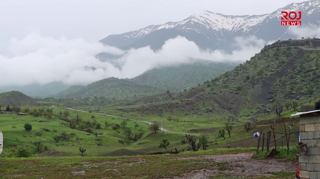 چیرۆکی مەرگەسات و کۆڵنەدانی ژنە کۆچەرییەکی قەندیل و گەریلاکان