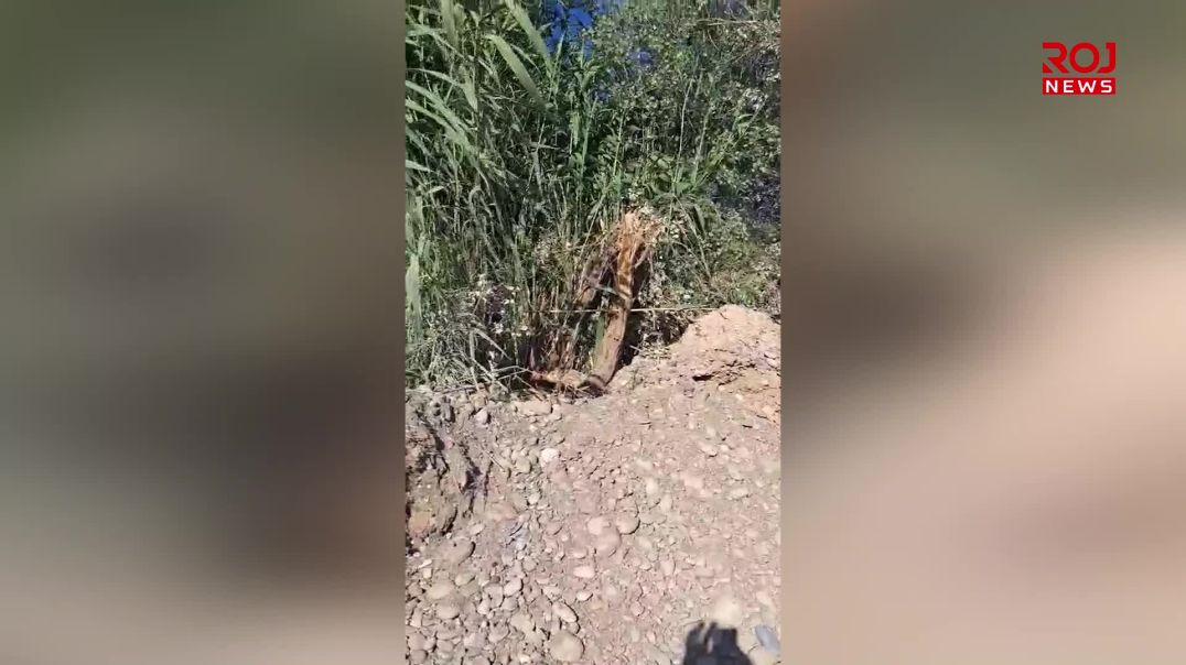 سێ تۆمەتباری تێکدانی ژینگە دەستگیرکران