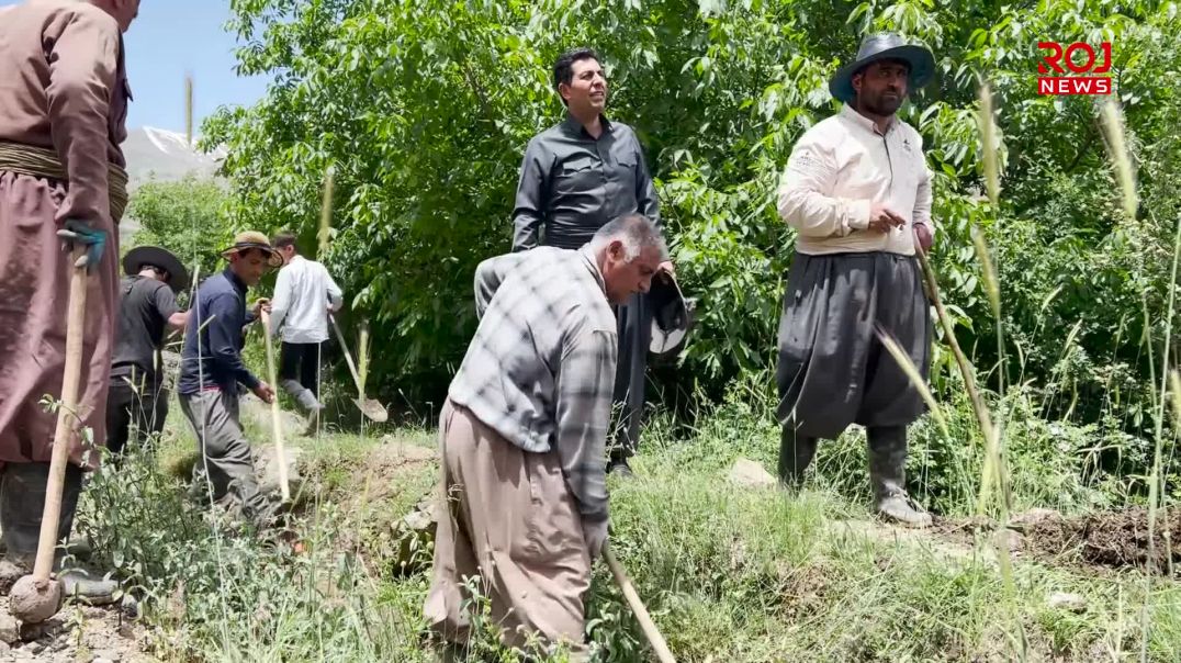 هاووڵاتییانی باڵەکایەتی بە جۆماڵی هەرەوەزی پەیوەندییە کۆمەڵایەتییەکانیان بەهێز دەکەنەوە