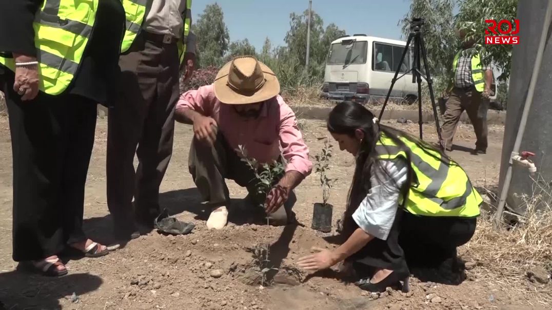 لە شارەدێی شۆڕش هەڵمەتێکی نەمام چاندن بەڕێوەچوو