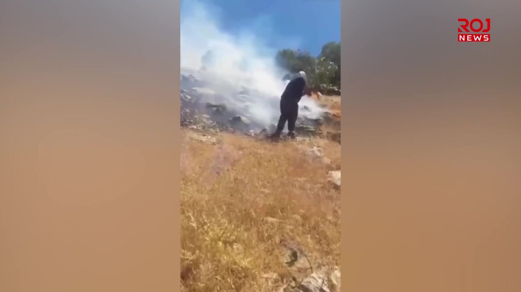 بەشێک لە دارستانەکانی ئیلام سووتان