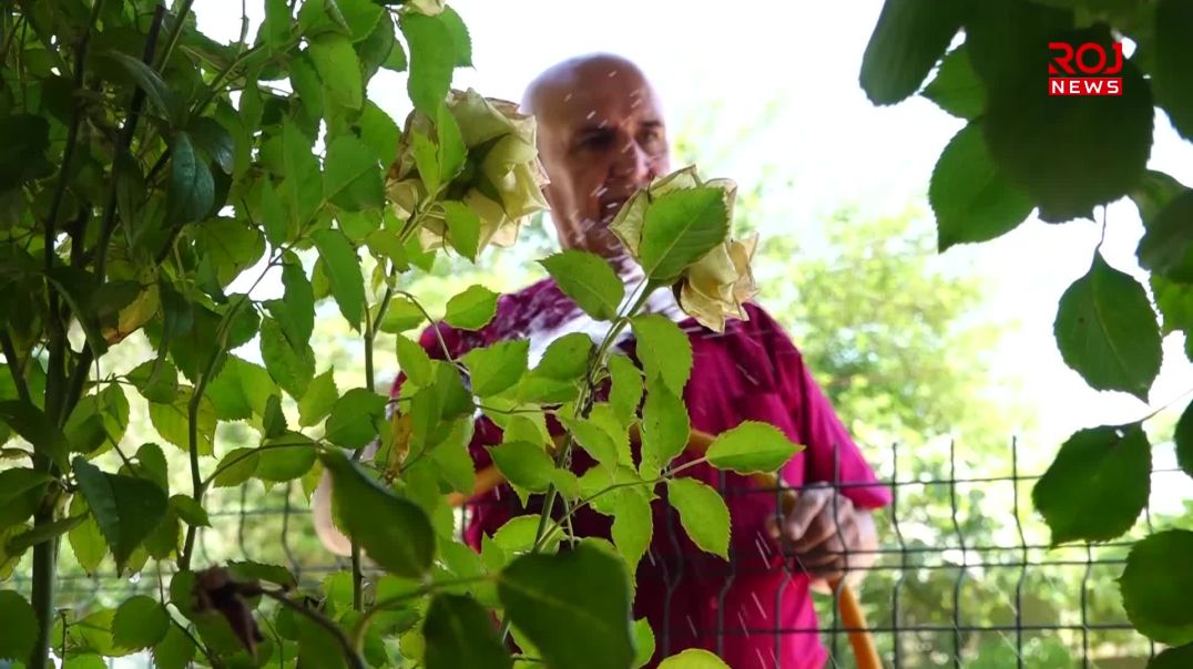 ژینگە دۆستێک لە ماڵەکەی خۆیەوە خزمەتی سرووشتی دەستپێکردووە