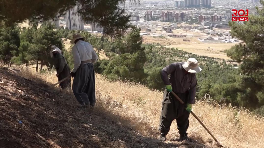 وێڕای هەبوونی کەموکوڕییەکان لێدانی هێڵی ئاگربڕ لە سلێمانی بەردەوامە
