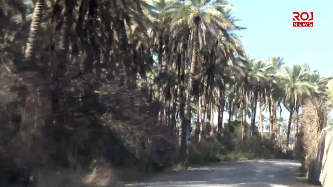 كربلاء، وضاح جواد