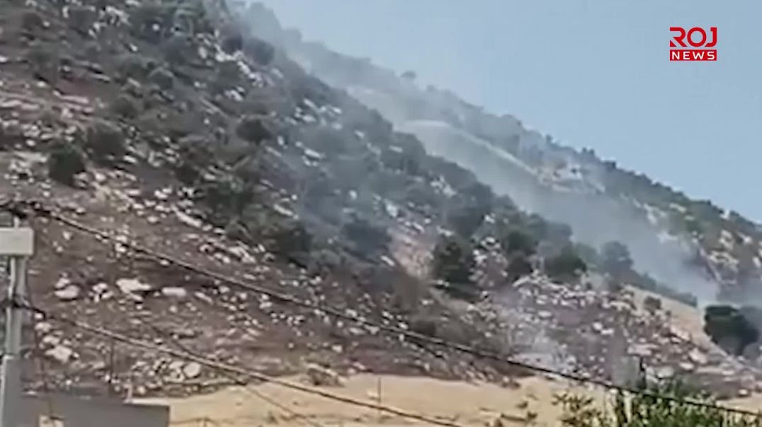 سورداش