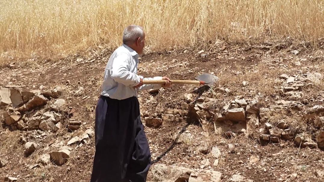 حاجی سەعید؛ ٤٤ ساڵ تەمەنی خۆی بە ژینگەی کوردستان بەخشیوە