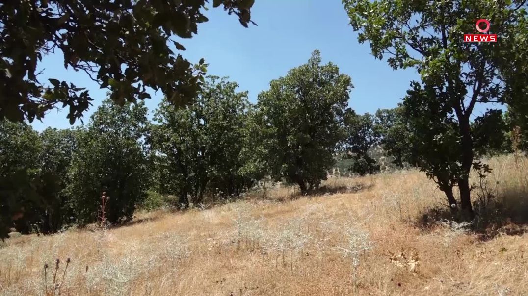 خانەوادەی شەهیدانی ژینگە لەسەر ژینگەی کوردستان هۆشداری دەدەن