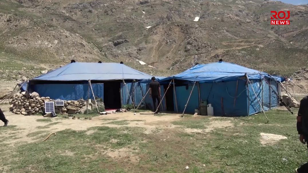 لە سایەی پڕۆسەی ئاشتییەوە کۆچەرییەکانی قەندیل بە ئاسودەیی کارەکانیان ڕادەپەڕێنن