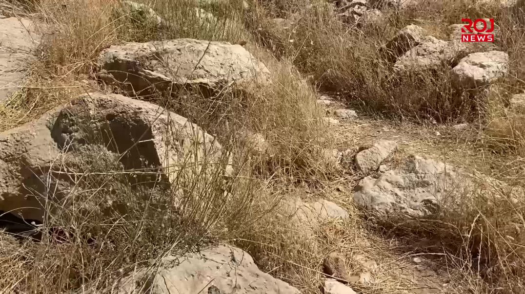 29-8-2026-shngal-diman