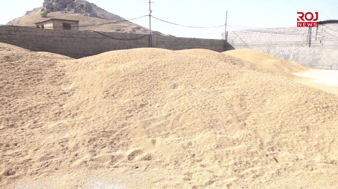 دواى چوار مانگ جووتیارانی شارەزوور بەرهەمەکانیان بۆ ساغنەبووەتەوە