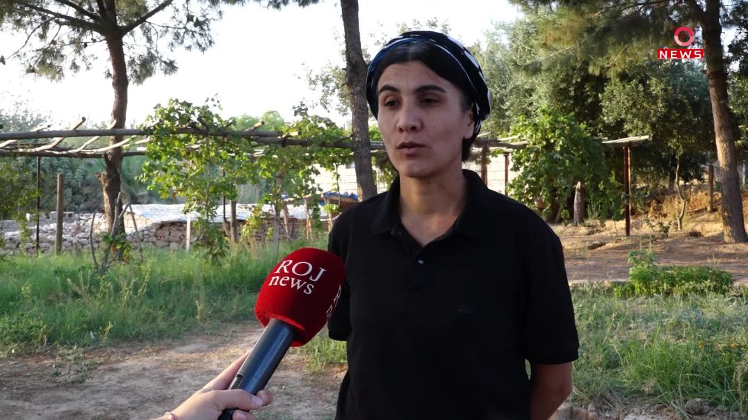 ‘Şertê pêşketina pêvajoyê azadiya fizîkî ya Rêber Apo ye’
