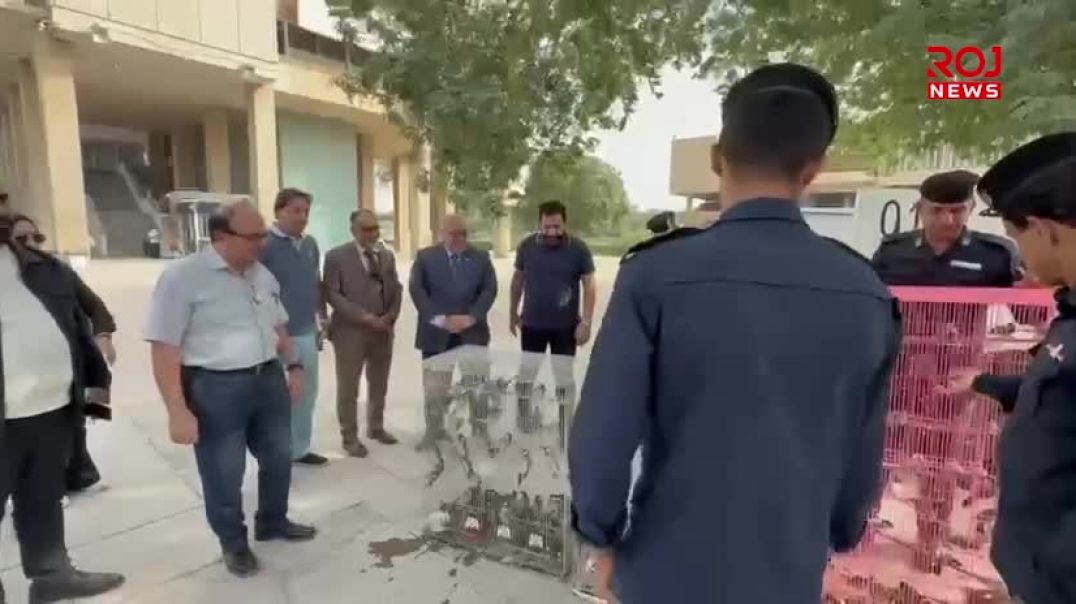 إطلاق طيور البلبل العراقي أبيض الخد إلى الطبيعة في جامعة بغداد _ الجادرية