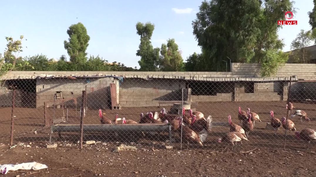 گوندنیشینانی کەرکووک: مەترسی چالاکبوونەوەی داعش هەیە و ئێمە پارێزراو نین