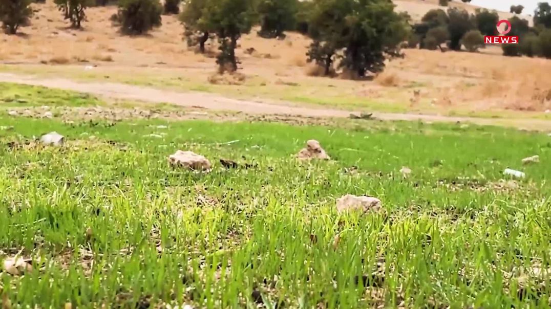 <iframe src="https://rojnews.video/embed/dZDaOaKeoyimLrO" frameborder="0" wid